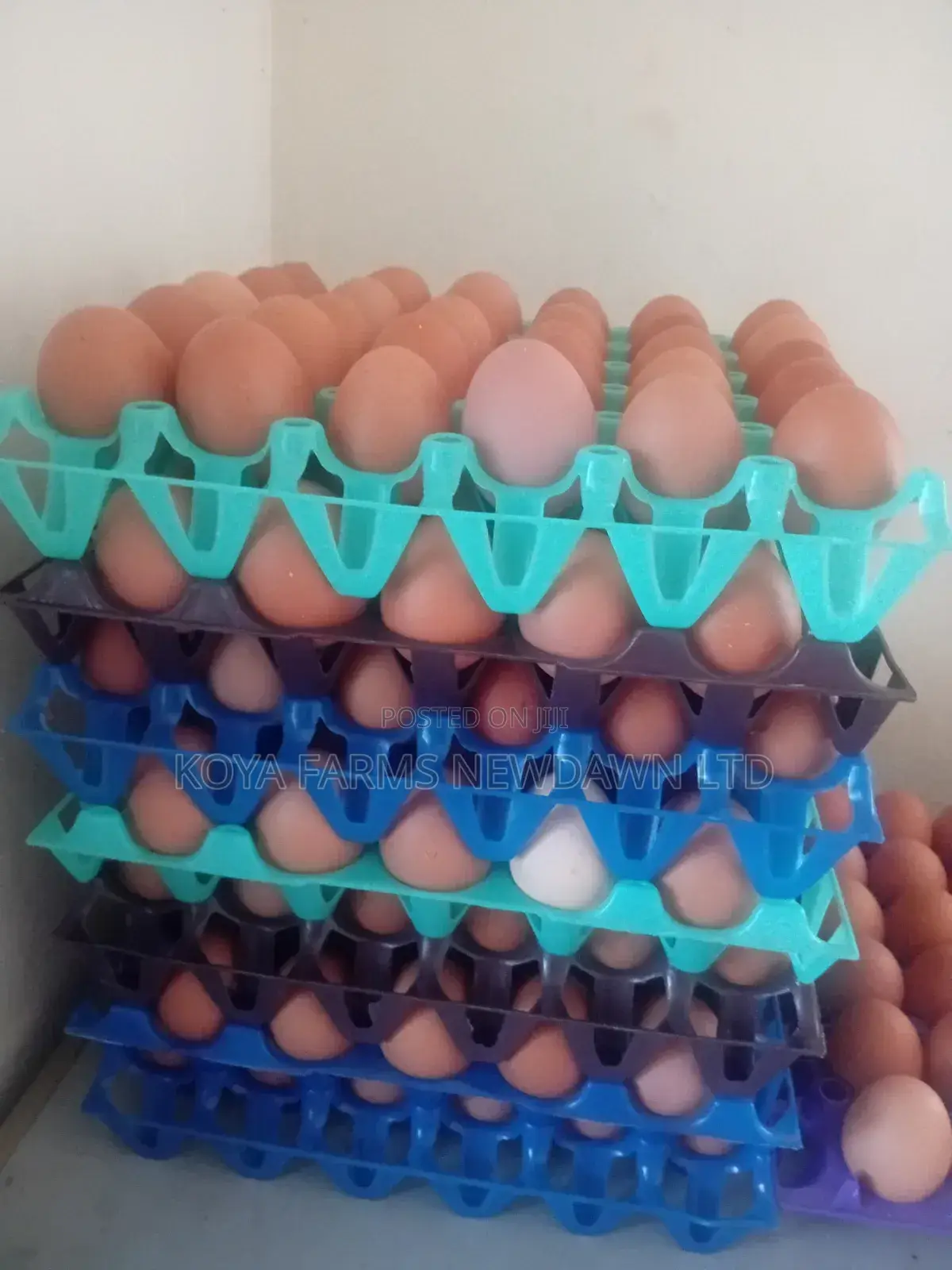 Eggs(in Crates) Available for Sale