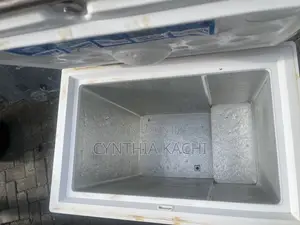 Chest Freezer