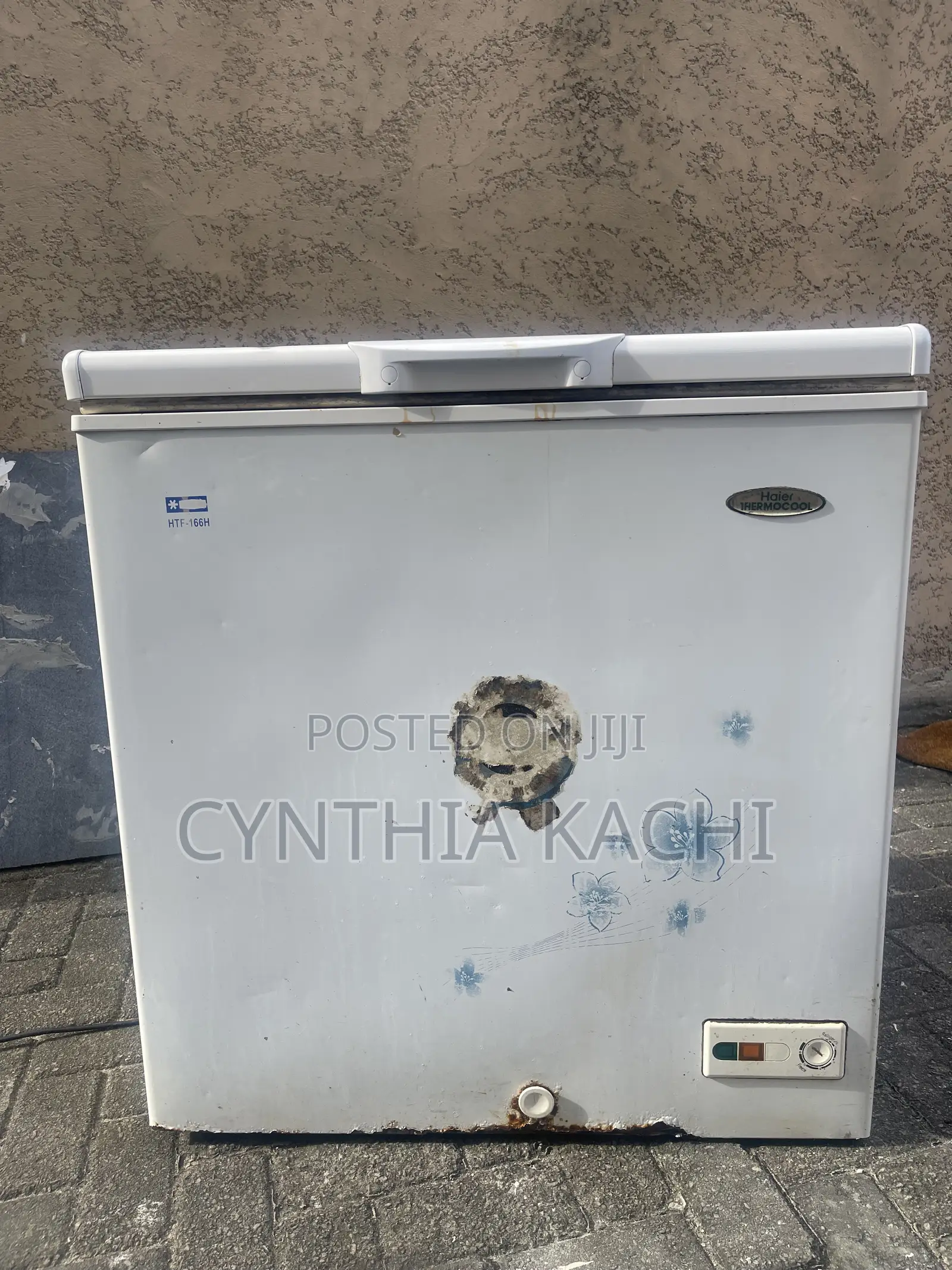 Chest Freezer