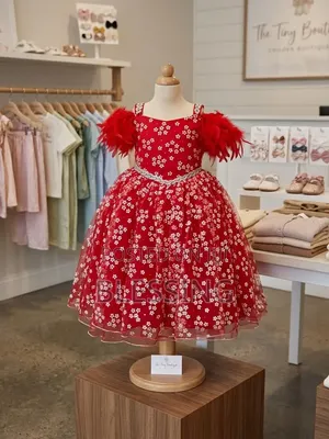 Beautiful Baby Girl Dress