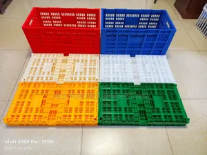 Egg Transfer Crate