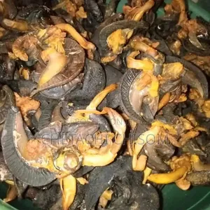 Dried Snails
