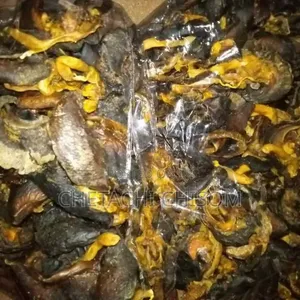 Dried Snails