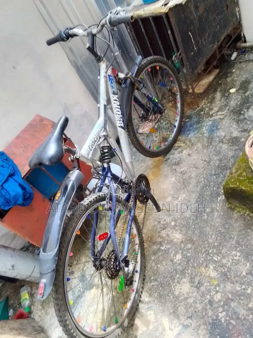 Bronx Concept Bicycle