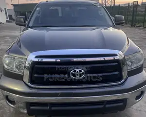 Toyota Tundra Work Truck 2012 Gray