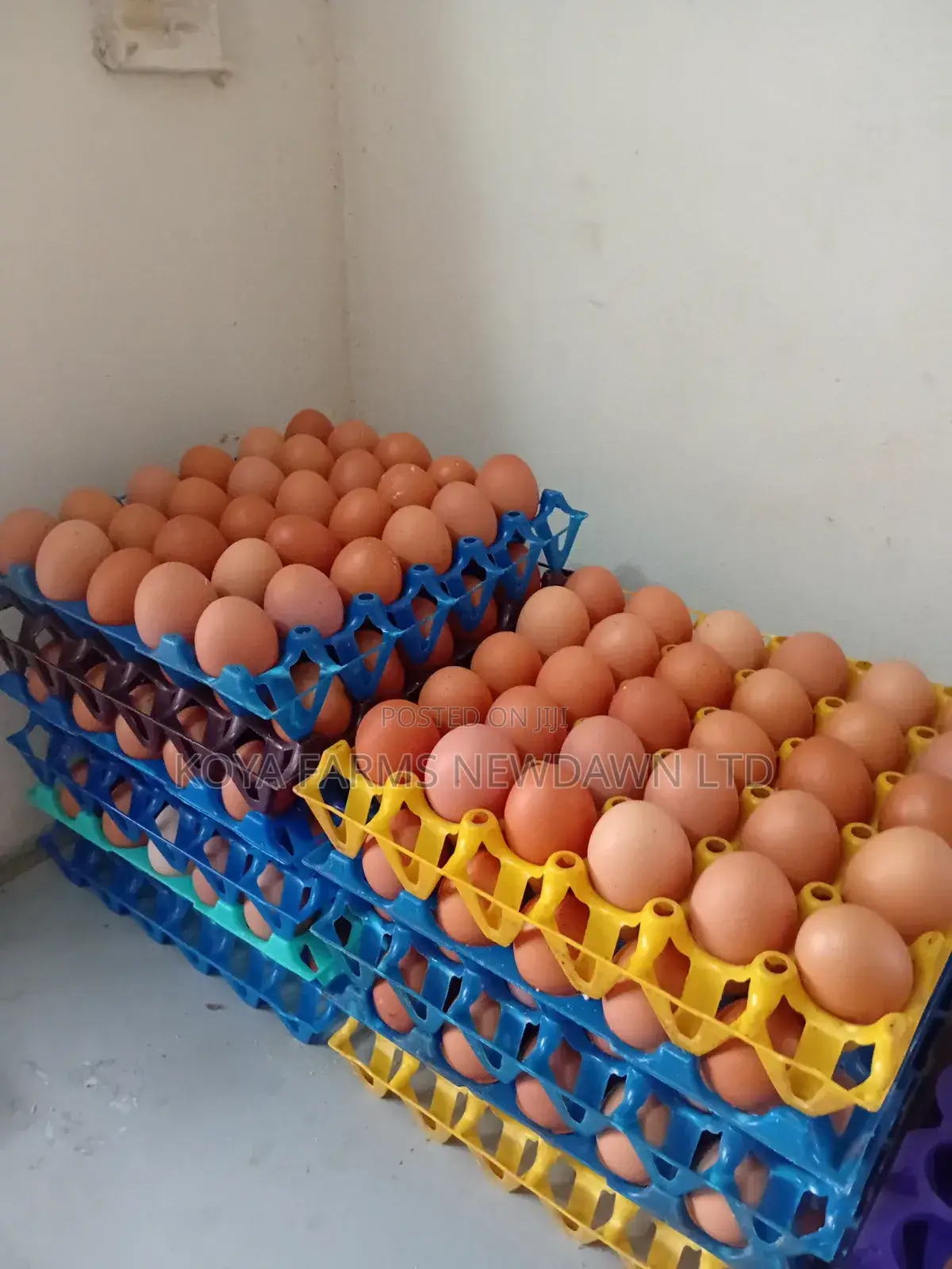 Eggs(in Crates) Available for Sale