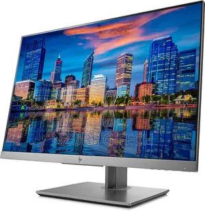HP EliteDisplay E243i 24-Inch IPS FHD 1200p 60Hz HDMI Monitor