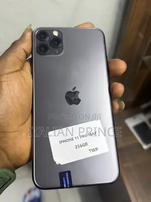 Apple iPhone 11 Pro Max 256 GB Gray