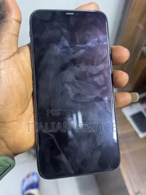Apple iPhone 11 Pro Max 256 GB Gray