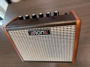 Quality Aroma AG 15A Acoustic Guitar Amplifier