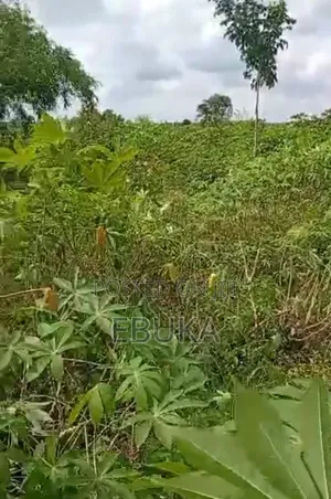Land Property