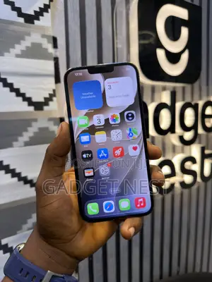 Apple iPhone 13 Pro Max 256 GB Green
