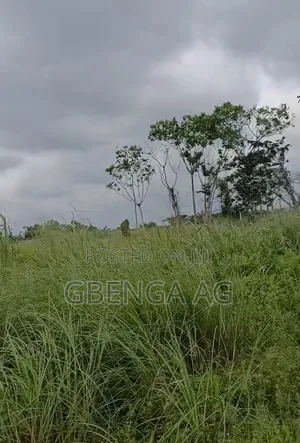 53 Acres of Land With 3 Warehouses at Sagamu-Ore Road