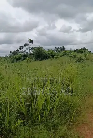 110 Acres of Land Opposite Bigi Cola Factory Before Ijebu Ode