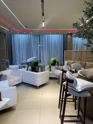 Professional Cleaning Service in Abuja