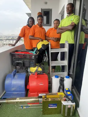 Professional Cleaning Service in Abuja