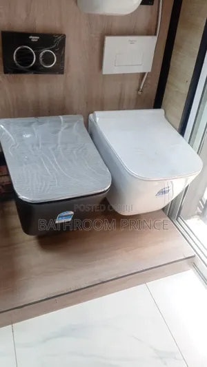 Black and White Elegance Conceal Water Closet