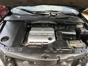Lexus RX 330 2006 Black