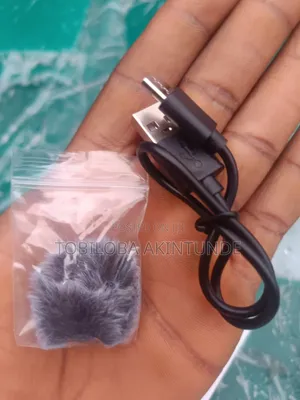 Wireless Microphone