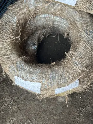 Galvanized Straighten Wire