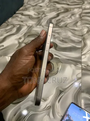 Apple iPhone 15 Pro Max 256 GB Silver