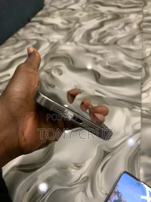 Apple iPhone 15 Pro Max 256 GB Silver