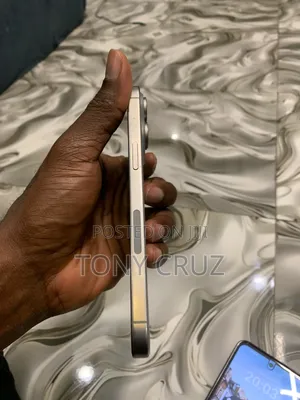 Apple iPhone 15 Pro Max 256 GB Silver