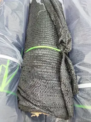 Scaffolding Net