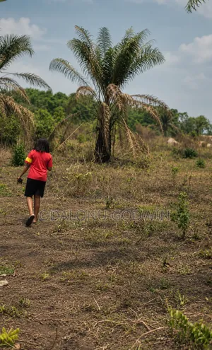 Land Measuring 50ft by 100ft Off Sapele Road Benin City