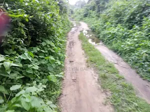 Farm Lands Available for Sale