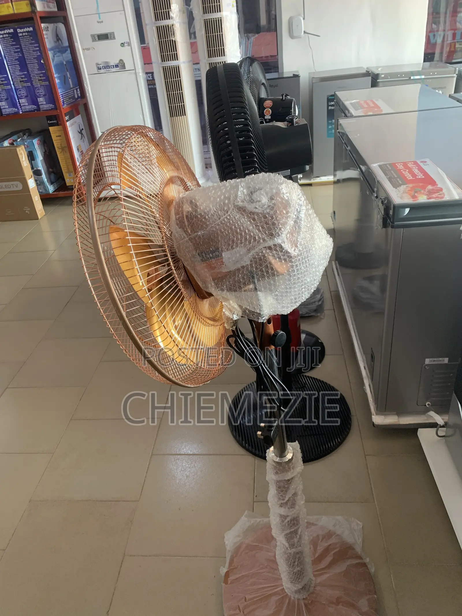 Standing Fan