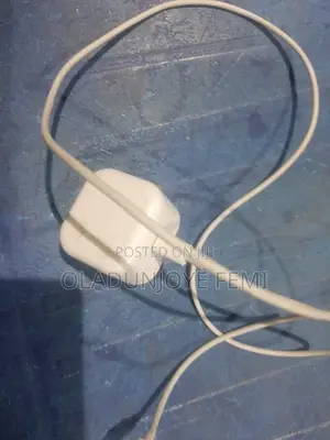 iPhone Charger
