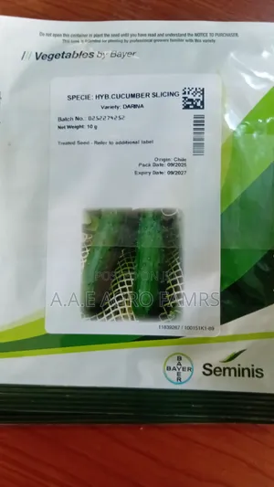 Cucumber Slicies Darina Fg1