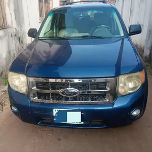 Ford Escape 2008 Blue