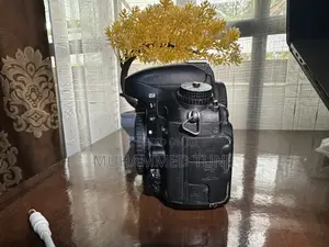 Nikon D610
