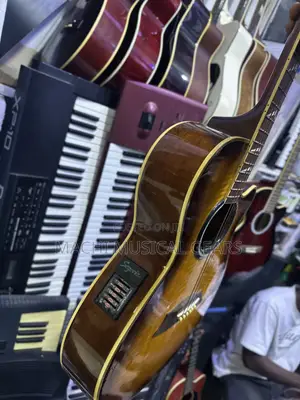Semi Acoustic and Acoustic