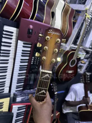Semi Acoustic and Acoustic