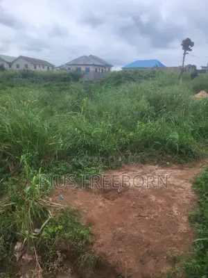 Land and Properties