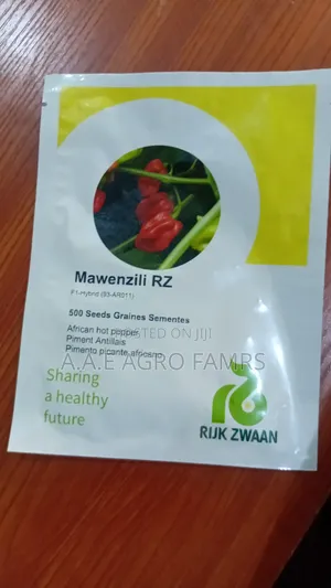 Original Rijk Zwaan Mawenzili RZ F1 Hybrid African Hot Pepper