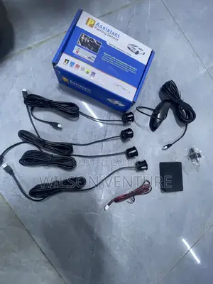 Professional Parking Assistant System