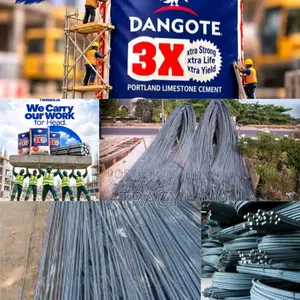 10mm LION TMT Iron Rod Per Ton