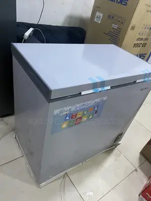 Skyrun BD-200A 200L Food Storage Freezer