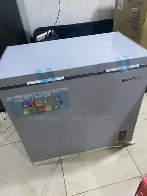 Skyrun BD-200A 200L Commercial Freezer