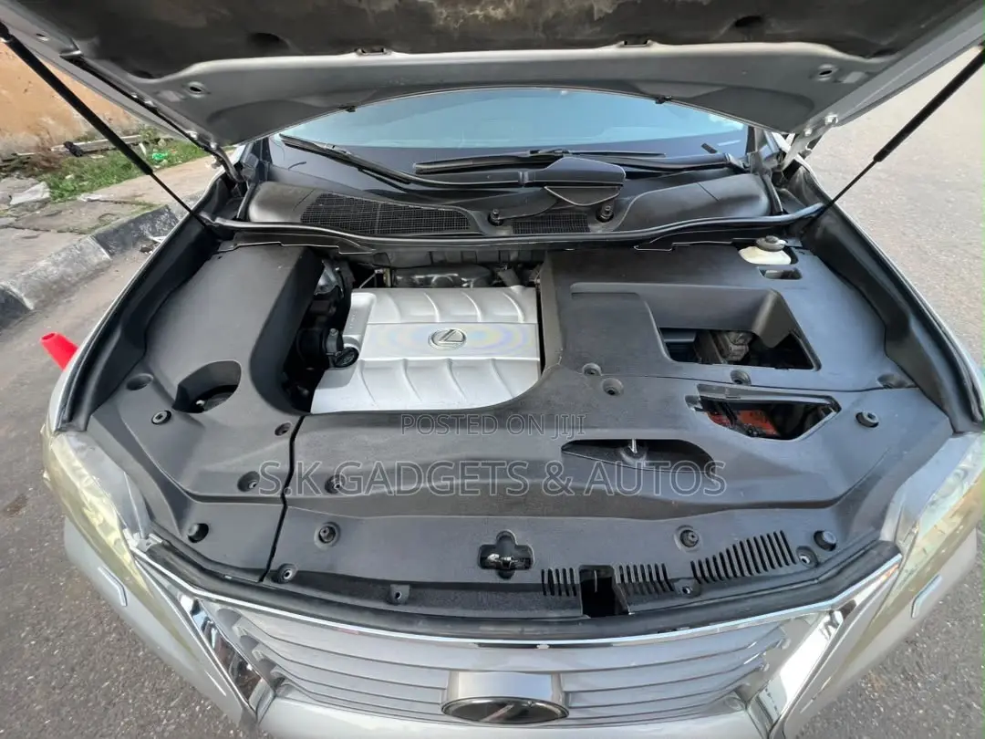 Lexus RX 2010 Silver