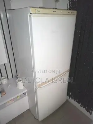 Standing Fridge 2 Doors