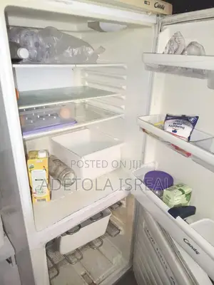 Standing Fridge 2 Doors