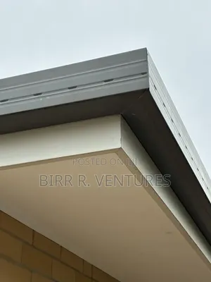 Fascia Gutter Replacement