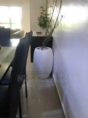 NLK Pro Cleaning Service