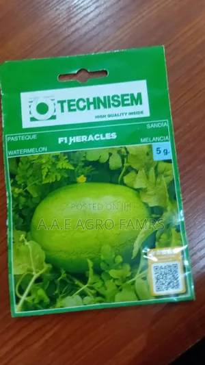 Technisim Watermelon F1