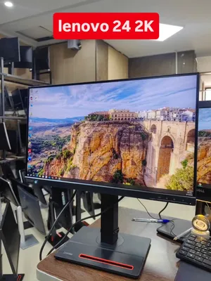 Lenovo ThinkVision P24h-2l 24 Inches 1440p QHD